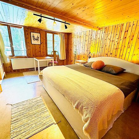 Cozy Apartment In Vintage House In Kandersteg Buitenkant foto